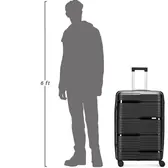 Beside a 6 ft figure
