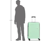 Beside a 6 ft figure