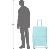 Beside a 6 ft figure