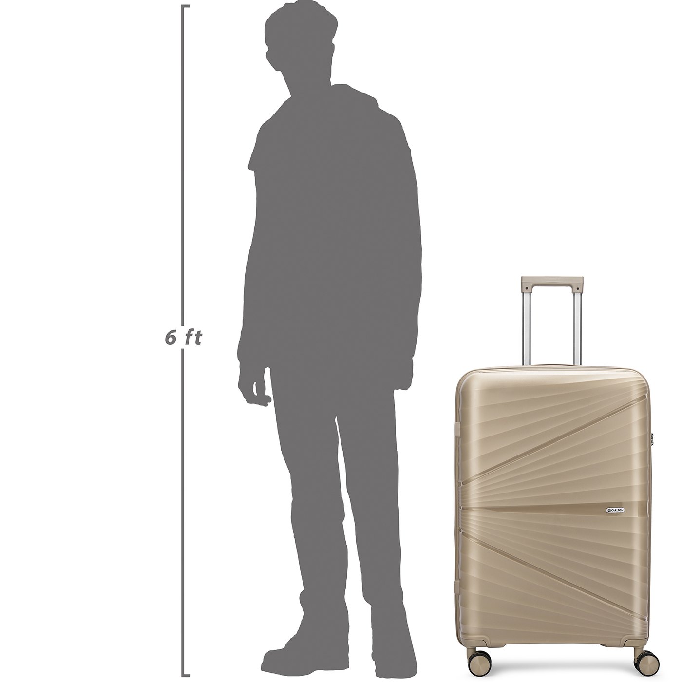 Carlton Hertford in Brown — beside a 6 ft figure